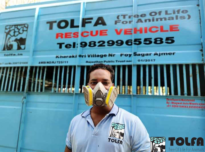 TOLFAcharity's tweet photo. KEEPING SAFE ON THE FRONTLINE
Thanks to your support we kit every member of #TeamTOLFA with high-grade #PPE to keep them safe throughout the second wave of #COVID19
It is so important to us they are as safe, healthy & happy as possible.
#AnimalRescue #FrontlineWorkers #TOLFA https://t.co/iyRjUtEM6Y