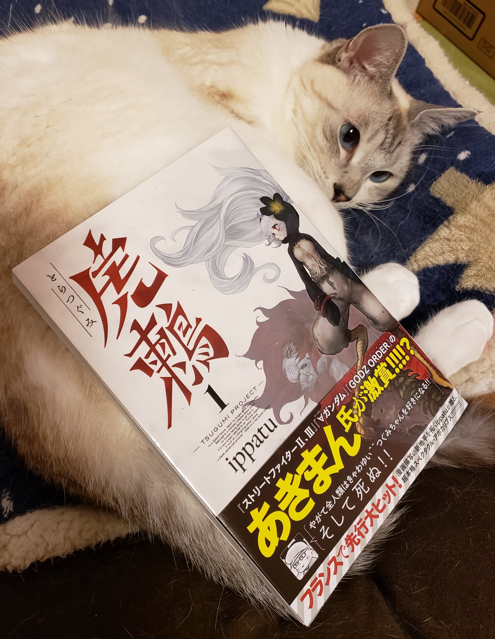 塩梅 En Twitter 虎鶫 購入出来ました 世界観 キャラの魅力と 描き込みの凄さ カバーの裏表紙も凄いです 我が家の猫 名前 つぐみ と共に 微妙なとら模様もあるから ある意味 とら 気味な つぐみ T Co Fpbb7pvudv Twitter