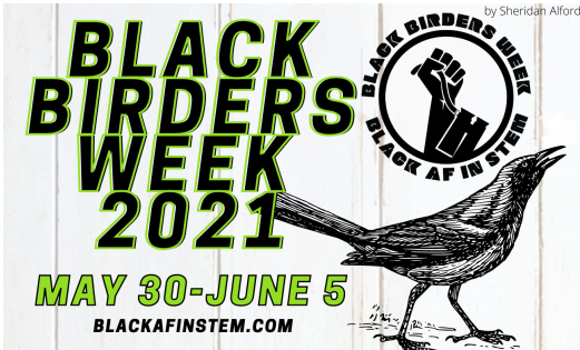 APEM_Ltd's tweet photo. It's #BlackBirdersWeek2021 We are advocates of birdwatching, nature &amp; science being accessible for everyone. This week is showcasing and connecting the global community of Black birdwatchers, explorers, and scientists. Check out #BirdingWhileBlack #BlackInNature @BlackAFinSTEM https://t.co/ynEExrSVHZ