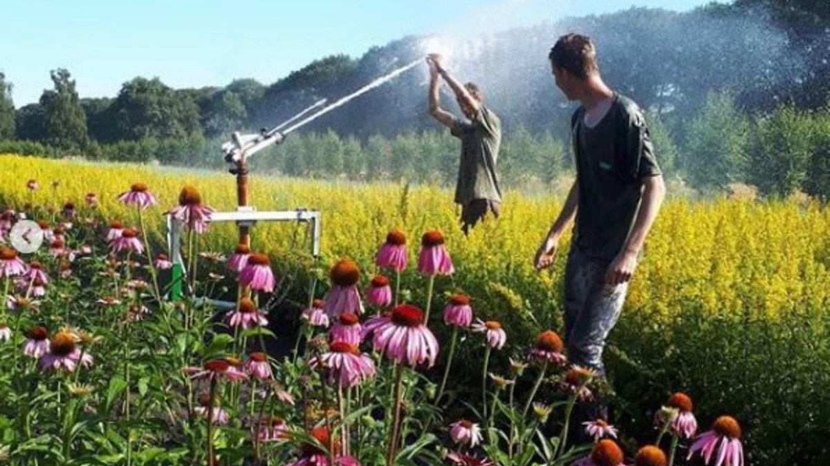 AvogelUKHealth's tweet photo. We've got the #FridayFeeling here at our farms! 🌸☀️

p.s. never challenge us to a watergun fight. https://t.co/bo8ej4ooLC