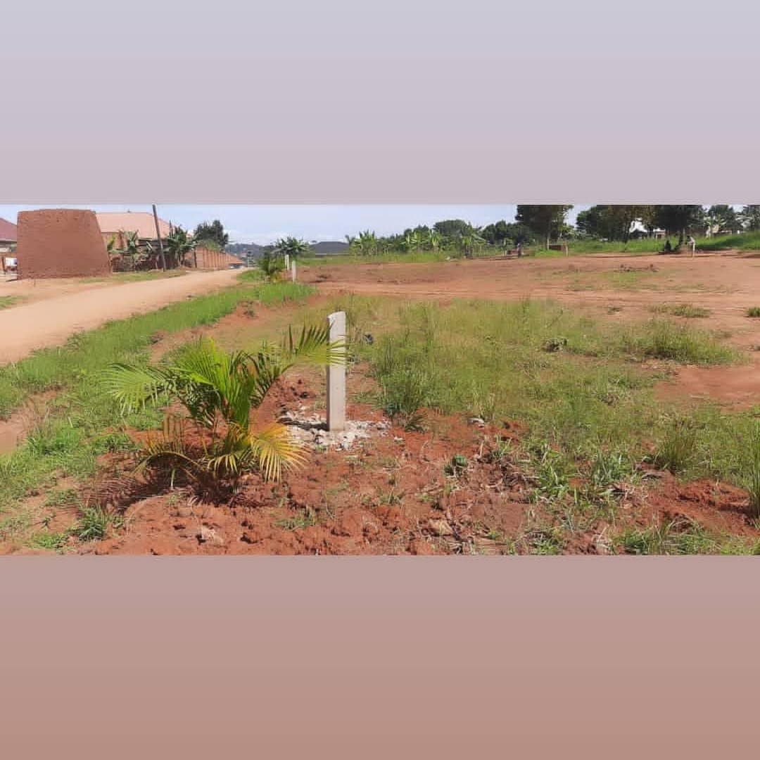rhonagitta's tweet photo. Magere / Buwate Estate

Land available in seta - magere / Buwate. Has 3 access routes ( kiira - kasangati road, Buwate or magere road). Area is well developed &amp; in a well organized neighborhood w water and electricity, 2kms to Greenhill Academy,50*100 at 70m  with ready titles. https://t.co/JjxVv0fW7e