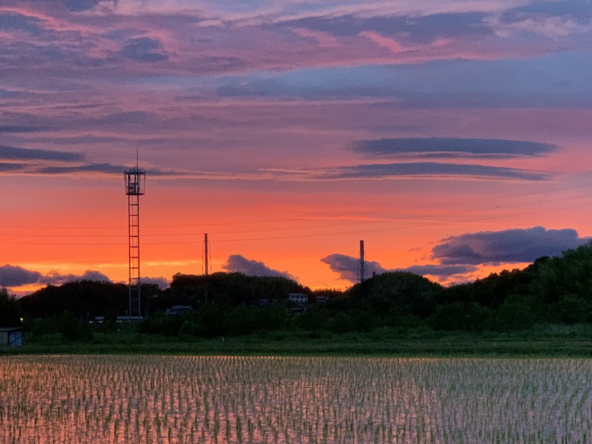 ふくろう亭 彡 V Twitter カコソラ 彡 Iphone越しの私の世界 Photo Coregraphy 撮ることは願うこと 日常をドラマチックに Pashadelic Plumblossom Snap カメラのある日常 Photography ノスタルジック ノスタルジックな瞬間を キリトリ ふくろう亭 彡 V Twitter カコソラ 彡 Iphone越しの私の世界 Photo Coregraphy 撮ることは願うこと 日常をドラマチックに Pashadelic Plumblossom Snap カメラのある日常 Photography ノスタルジック ノスタルジックな瞬間を キリトリ