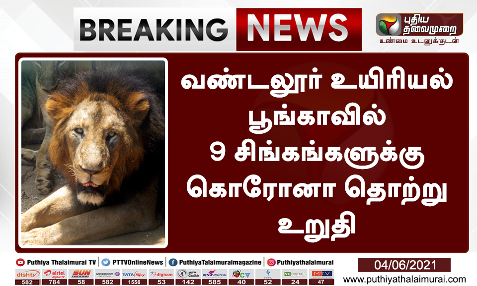 PttvNewsX's tweet photo. #BREAKING 

வண்டலூர் உயிரியல் பூங்காவில் 9 சிங்கங்களுக்கு கொரோனா 

இன்றைய லைவ் அப்டேட்ஸ் > https://t.co/X8n7sKDllH

#Corona | #VandalurZoo | #Lion | #COVID19 https://t.co/omktYUYkov