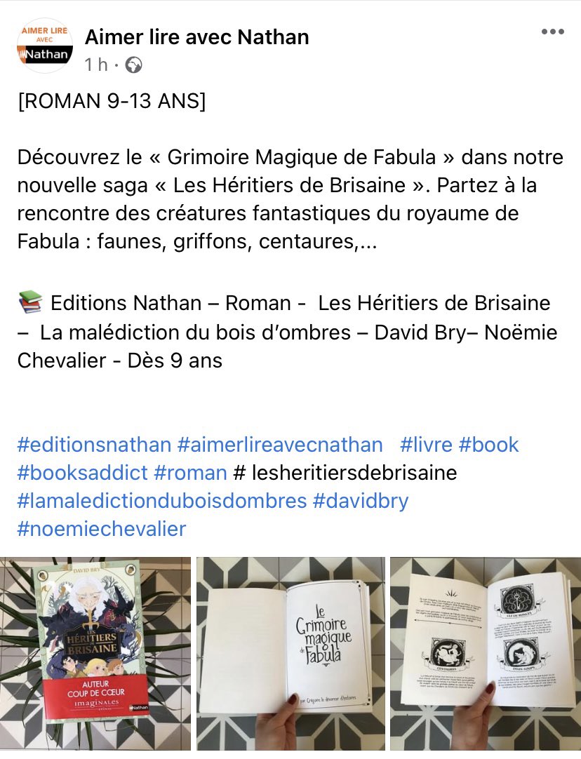 ChevalierNomie3's tweet photo. Achetez ! Achetez ! :) #davidbry #aimerlireavecnathan #lesheritiersdebrisaine https://t.co/pSU0jQkKjl