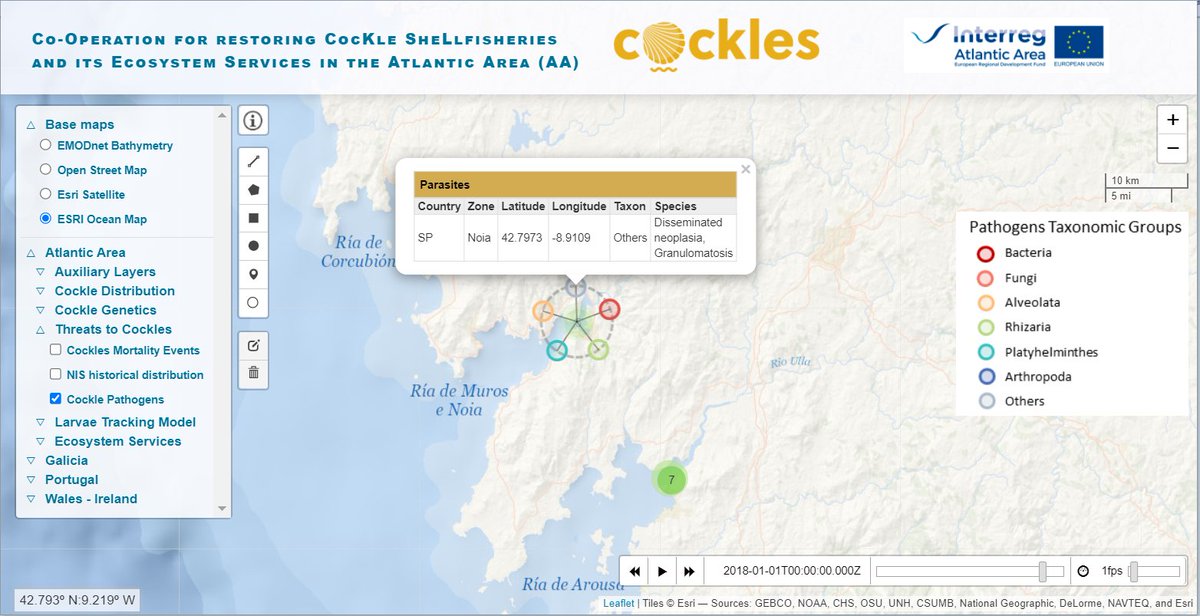 COCKLES_project's tweet image. 📣Don&apos;t you know the COCKLES GIS viewer yet? 
You can consult information about cockle management in more than 50 layers regarding different topics (distribution, genetics, threats, larval dispersal and ecosystem services)! 👇
utmar.cetmar.org/cockles-viewer
#Interreg  
@AtlanticArea