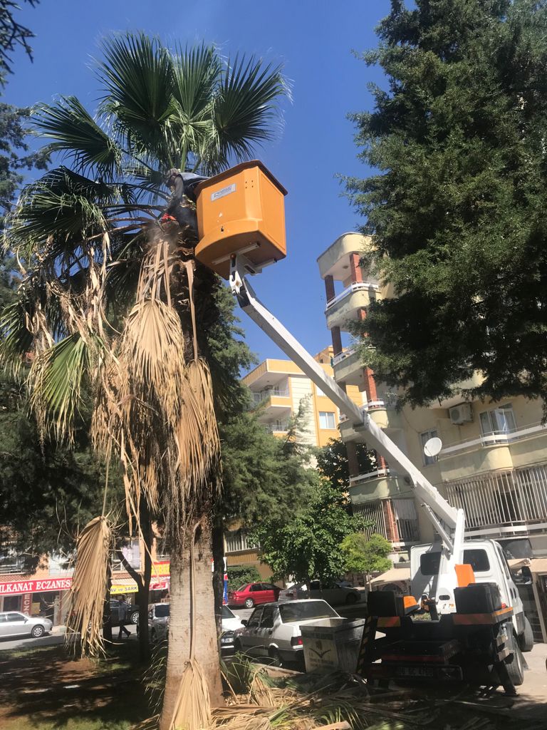 haliliye_bld's tweet photo. 👉Daha güzel☺️

👉Daha Yeşil Bir Haliliye🌴

🌴🌴🌴🌴🌴🌴🌴

#ŞanlıurfanınKalbiHaliliye 

@mcanpolatnet https://t.co/NlYEZziaSG