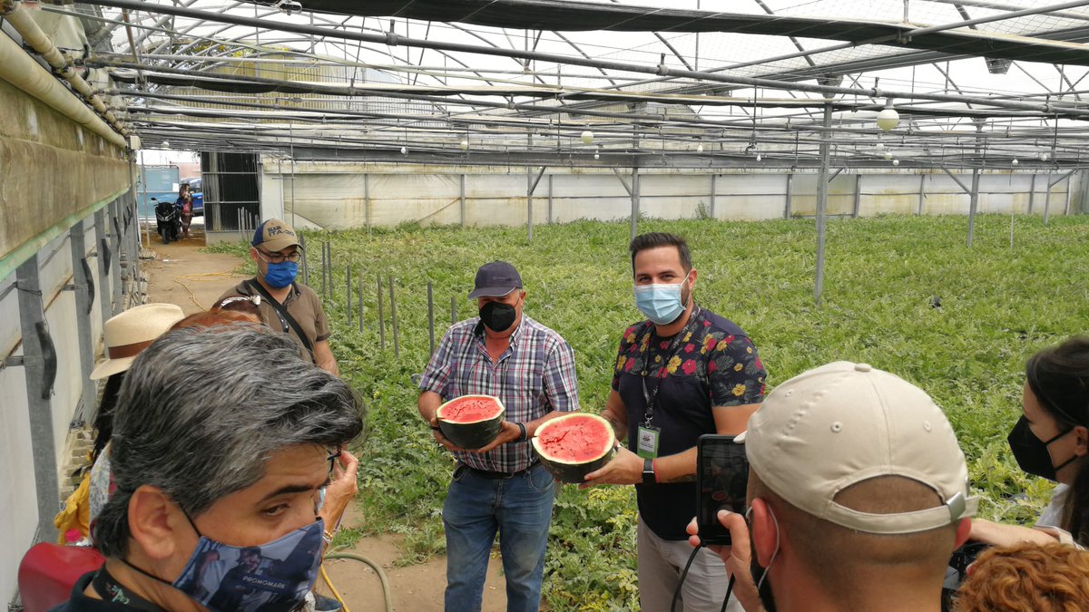 Turismo de Chipiona tweet media