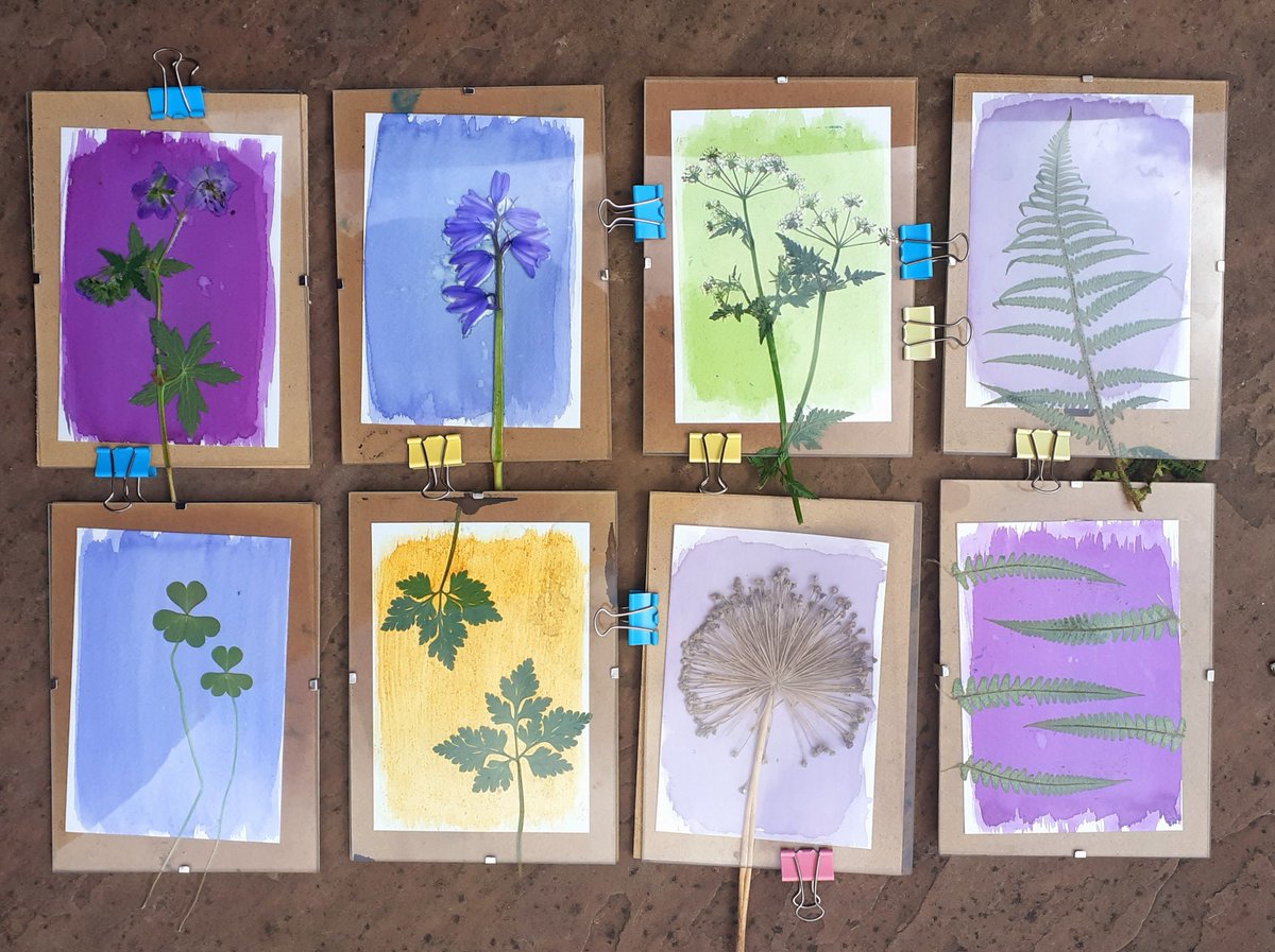These beautiful creations are anthotypes prints in their development process. 

Learn how to make your own, the history &amp; how to extract pigment from plants to make an emulsion in our workshop.

Thu 17 Jun, 6.30pm – 8.30pm
£25, 18yrs+ (craft kit included)

hub-sleaford.org.uk/events/anthoty…