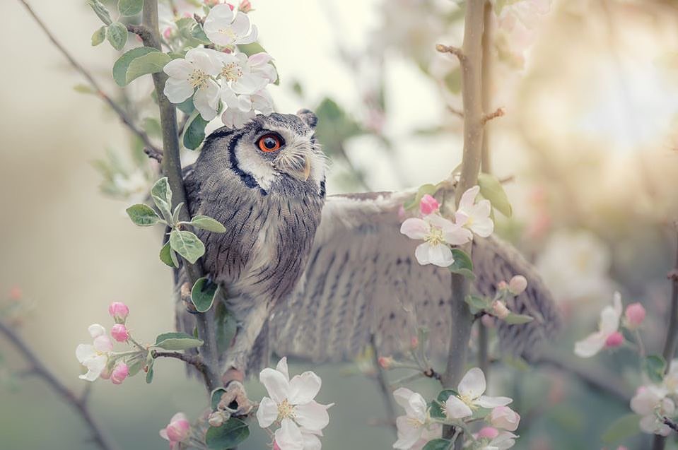 Jeanette tweet media