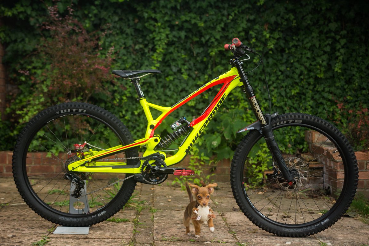 Chain__Reaction's tweet photo. Beauty &amp; the beast! 🐕
(you can tell us which is which) 
Sirbastian on Twitter - this pic made us smile today! 😍
If you have a bike &amp; a dog combo - we want to see it!
#bikepicoftheday #mtbpics #mountainbikelife #mountainbikeanddog #crchub https://t.co/6VU1eqA7Hb