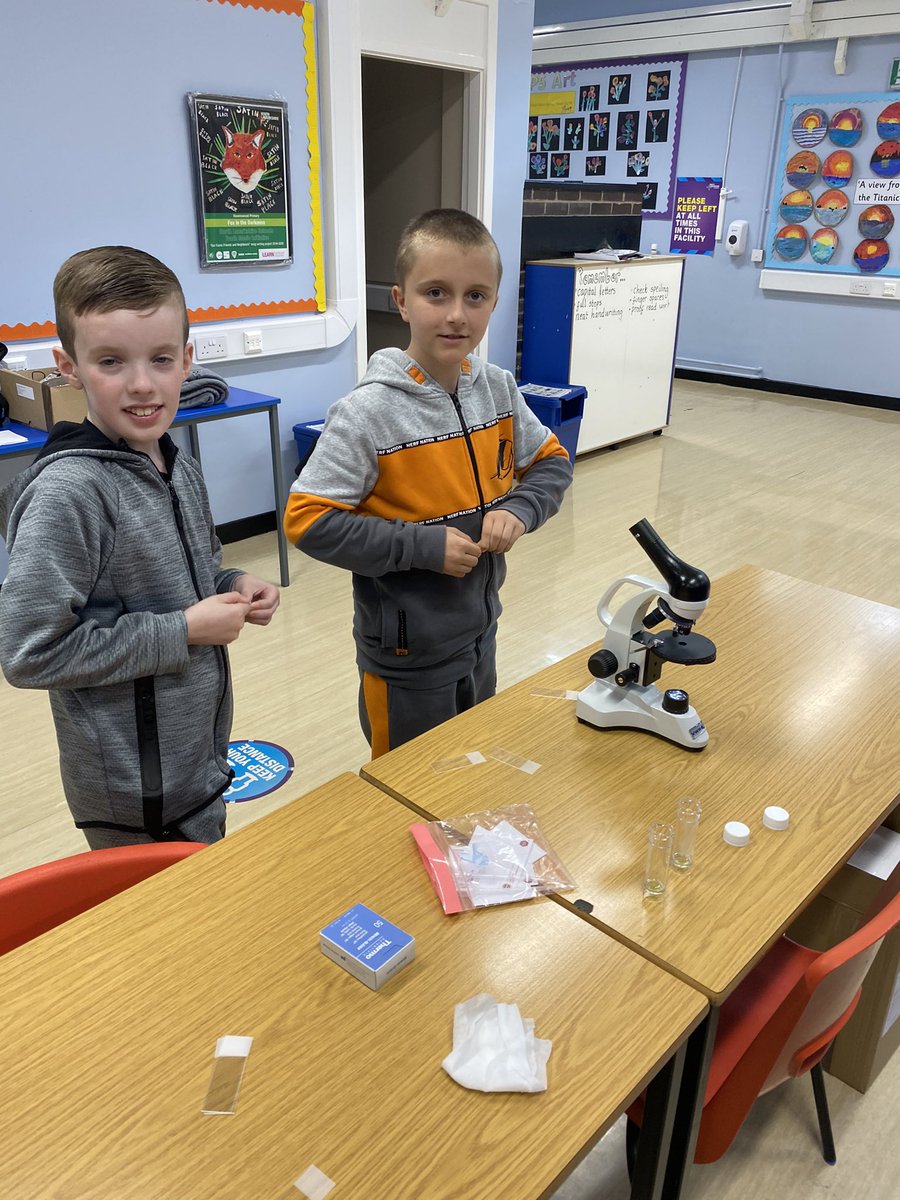 2/2 ... <a href="/RavenswoodPS/">Ravenswood</a> also discovered acidic water kills algae and it grows slower in the cold! We also found insect larvae and Protozoa in pond water safely collected from the environment <a href="/RaiseScotland/">RAiSE</a> <a href="/EBSOClab/">EBSOC Lab</a>