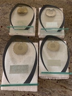 "And the Winner is ......" Tune in June 11th@7.00pm via zoom to see the results of NLS Awards Event ...
Supporting the charity Singing 4 Breathinghttps://www.justgiving.com/crowdfunding/singing4-breathing?utm_id=126