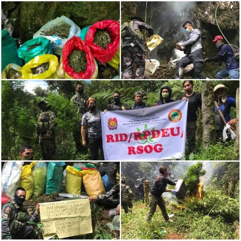pnppio's tweet photo. ELEAZAR: P45.9 MILLION MARIJUANA PLANTS DESTROYED IN BENGUET
 
Read more:https://t.co/DKK1X76M7h

#PulisNgPilipino
#WeServeAndProtect
#AntiIlegalDrugsCampaign
https://t.co/txtYyrzpsG
https://t.co/YC5CvKagOX
https://t.co/Et8tu4J5hM
https://t.co/5enzGQHK0a
https://t.co/EyNPCuygbF https://t.co/WUfHD0ov5B