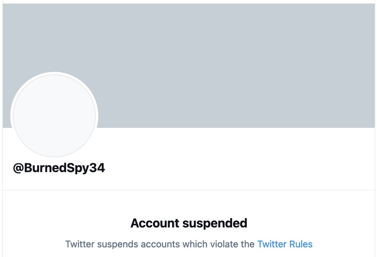 @madameshawshank @stinginthetail @MSMWatchdog2013 I see the @burnedspy34 account has been suspended