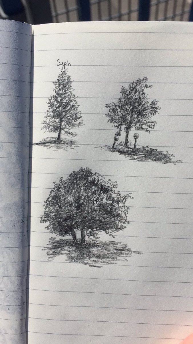 RT @inkrookie: Quick tree studies in Helsinki #trees #studygram #sketch https://t.co/ERUMG7VeEh
