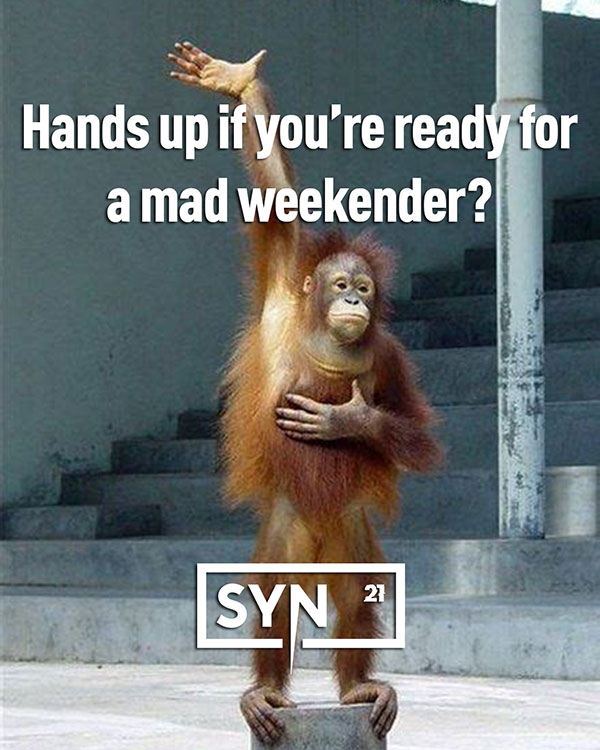 SyNFestival's tweet photo. Mad one? 🙋‍♂️🙋🙈 #SyN21

You . Us . Together | Syn Fest | St Albans | 31 July - 01 Aug https://t.co/Y4B0IVJepB