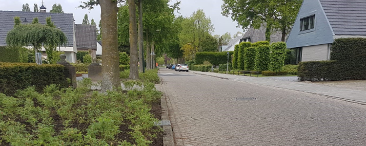 Megaborn heeft in samenwerking met de <a href="/GemMeierijstad/">Gemeente Meierijstad</a> en betrokken bewoners de eerste groenrenovaties opgeleverd. Meer weten? Klik op onderstaande link: megaborn.com/projecten/groe… #groenrenovatie #samenwerking #bewonersparticipatie #duurzaamheid