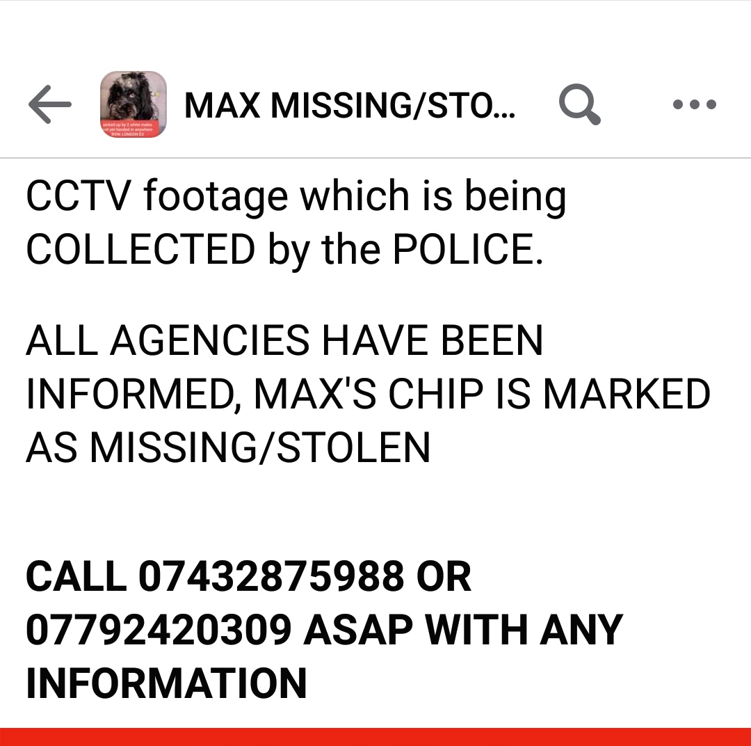 joannew0112's tweet photo. @CrimeLdn pls share, owners are appealing for help to #FindMax he was seen being picked up outside his home Blondin St, Bow #London E3 2 males picked him up and put him in Red Kia 3 June approx 4.20 pm and drove off. https://t.co/IjXHLvvidB https://t.co/UZ8uorN5Lo