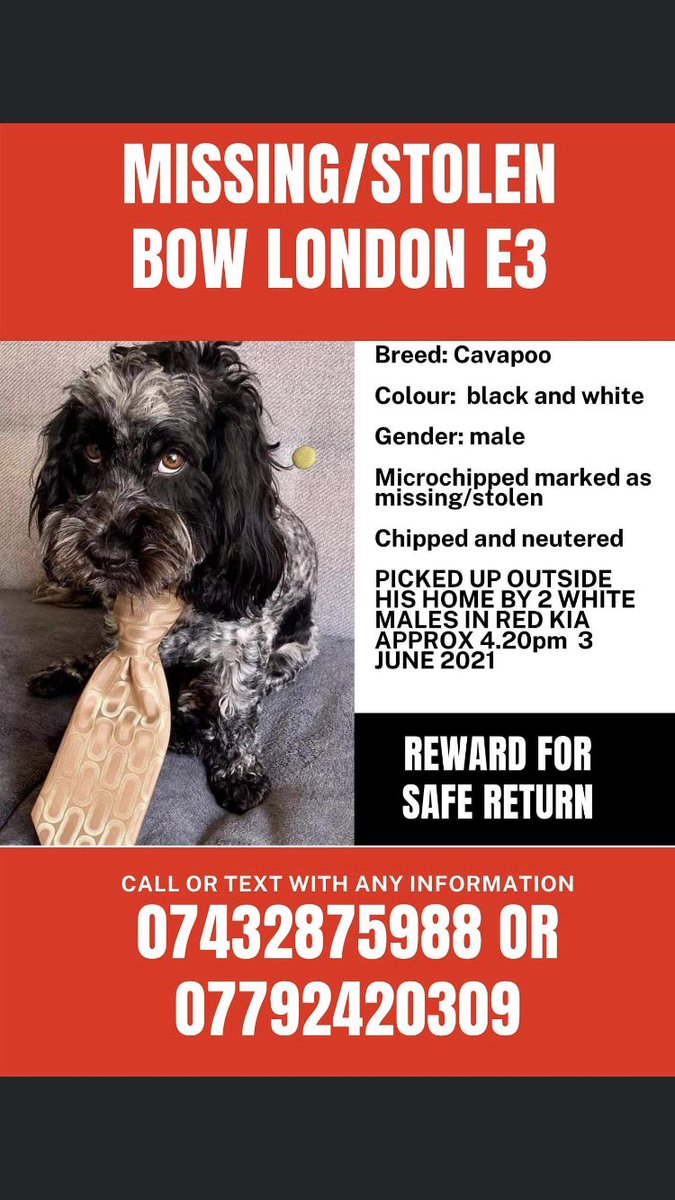 ❗️APPEAL TO TWO MIDDLE AGE LARGE BUILD WHITE MEN IN WTE VESTS/TRACKSUIT SHORTS WHO PICKED MAX UP/PUT IN RED KIA CAR  #BLONDIN ST #BOW #LONDON #E3 TO COME FORWARD❗️
Hit by bicycle 3/6/21 #Victoria Park ran towards home #BOW #E3
HAS NOT BEEN HANDED IN 
CALL 07432875988 07792420309