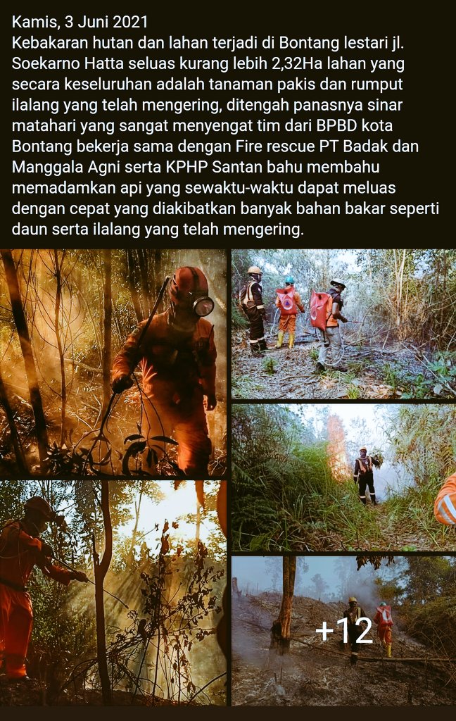 bpbd bontang tweet media