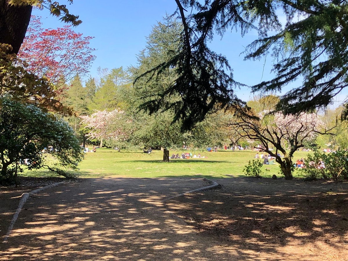 cardiffcouncil's tweet photo. 😎We hope you're enjoying the warm weather in our beautiful parks!  

❗ Please be reminded, BBQ’s are discouraged in all parks. They pose a health and safety risk to people, wildlife &amp; dogs.  Disposing of a BBQ in one of our bins can also cause a fire.

📸©️ Joanne Dunn https://t.co/HO3iErJkyL