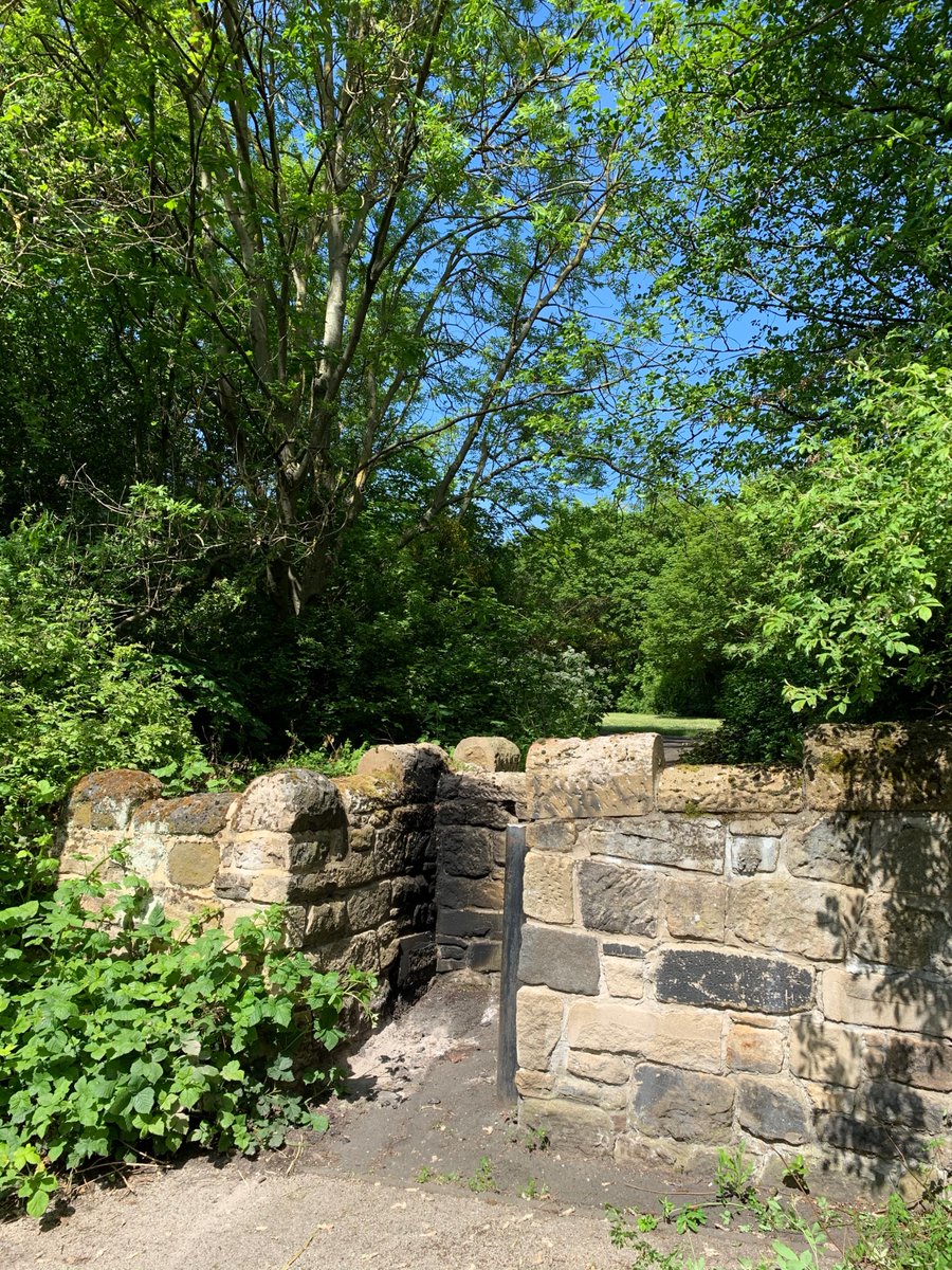 The_Skill_Mill's tweet image. A busy week in the #sunshine across our sites. Great before and after photos from some local #cyclepaths in #Newcastle! 

If you require #environmentalmaintenance services get in touch. 

@urbangreenncl @nestrg @ssescotland @EDGENorthEast1 @NU_Foundation @TyneRiversTrust