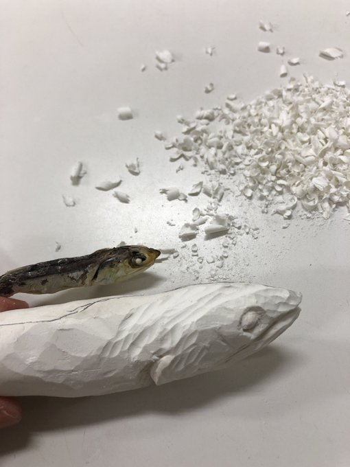 教材研究のtwitterイラスト検索結果