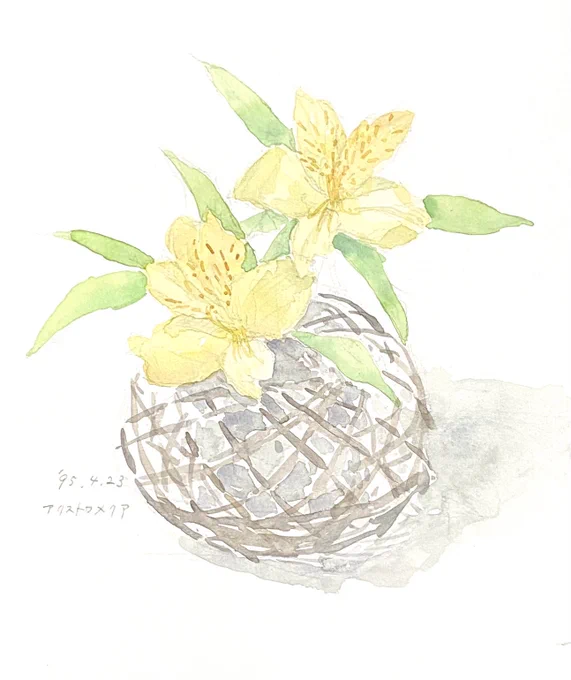 黄色いアルストロメリア

最近こういうの描かなくなりました。たまには描いてもいいかもしれない。

#透明水彩 
#過去絵を投げて絵を描いた気になろうキャンペーン 