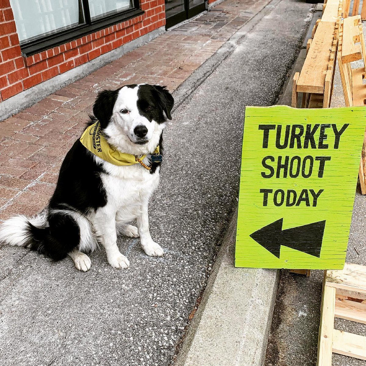 Turkey Shoot Brewing now open in Keswick.  

Starting today look for their Lake Simcoe Lagered Ale at local <a href="/LCBO/">LCBO</a> Stores.
#Georgina 
whatsbrewin.ca/turkey-shoot-b… via <a href="/WhatsBrewinCa/">What's Brewin'</a>