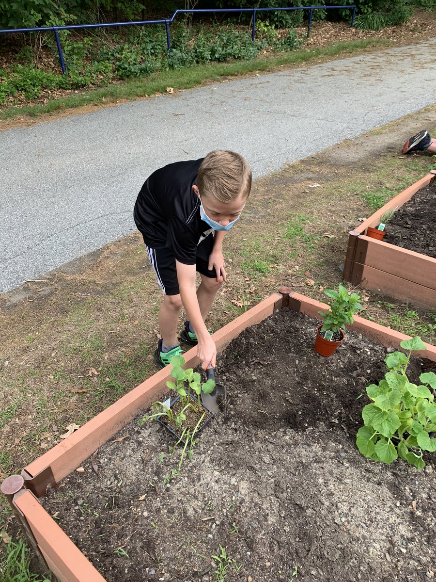 Mrs. Schott tweet media