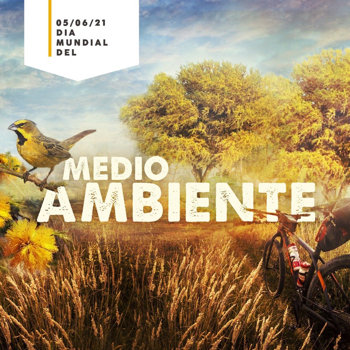 5 de junio día mundial del medio ambiente.