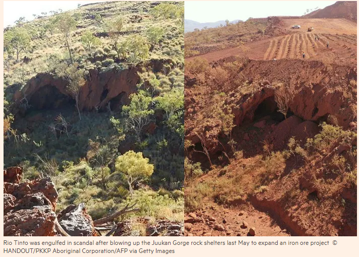 Maja Divac tweet media