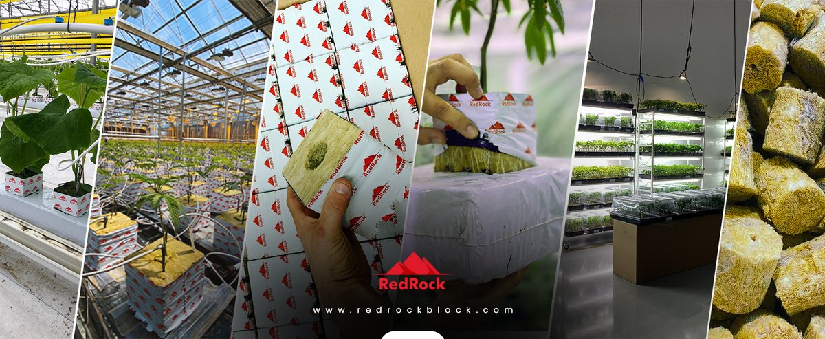 Redrockblocks's tweet photo. Recycling Options for Stonewool Grow Media...
https://t.co/mR4Qdl86Ug
Call for Pricing- 1-310-967-2025
#Stonewool #GrowBlocks #GrowCubes #GrowMedia #Growers #Plants #Crops #Hemp #Greenhouses #Farms #Agriculture #AG #CEA #IndoorFarms #GrowRooms #GrowOps #GrowRoom #Farmers https://t.co/qYjGpN8TBQ