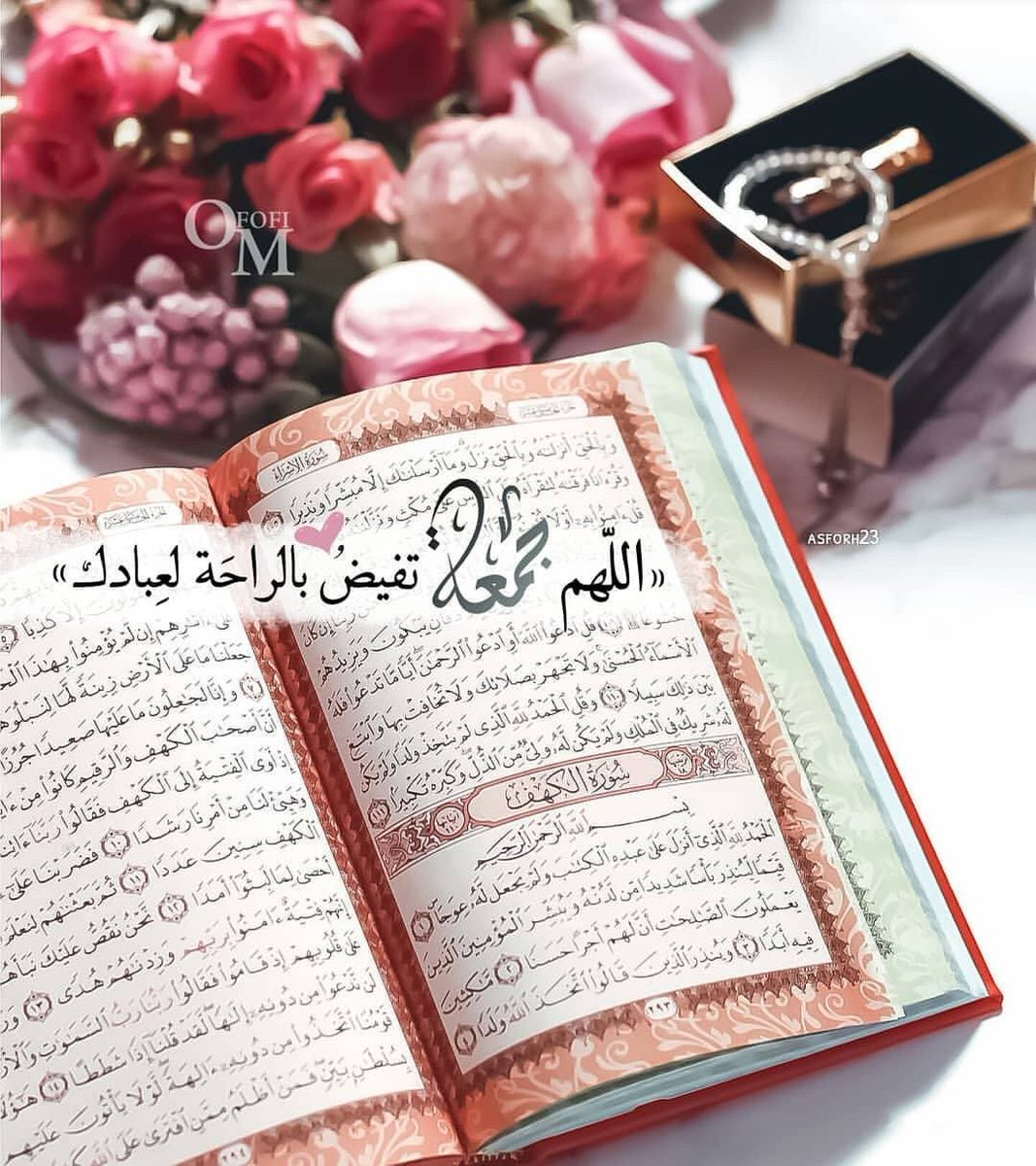 YasminaAmian tweet picture