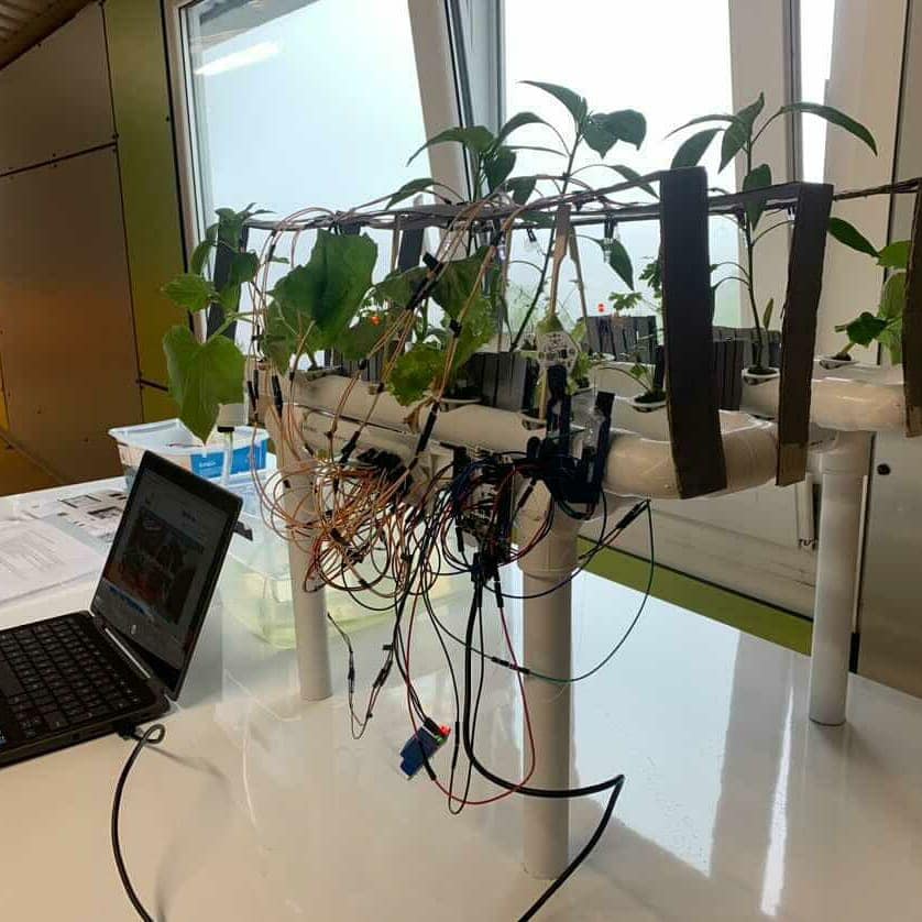 MacmillanSpain's tweet photo. ¡Felicidades al alumnado y profesorado del @truebaikastetxe por ser los ganadores del II Concurso Odisea bMaker!
Con #programación" y #robótica mejorando la #sostenibilidad y el futuro de la sociedad 👏🌱🌍
#OdiseabMaker
#CompromisoMacmillan
#bMaker @BQEducacion #STEAM https://t.co/j34GJTLEbd