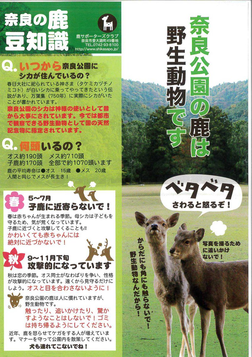 奈良男あをによし On Twitter 拡散希望 直樹さんの 鹿には触れない やだんさんの ペットじゃないので触らない の画像が貼ってあるツイートが気になったので愛護会に聞いてみました お返事 奈良公園の鹿は全て触れるのは禁止 撫でる マッサージ