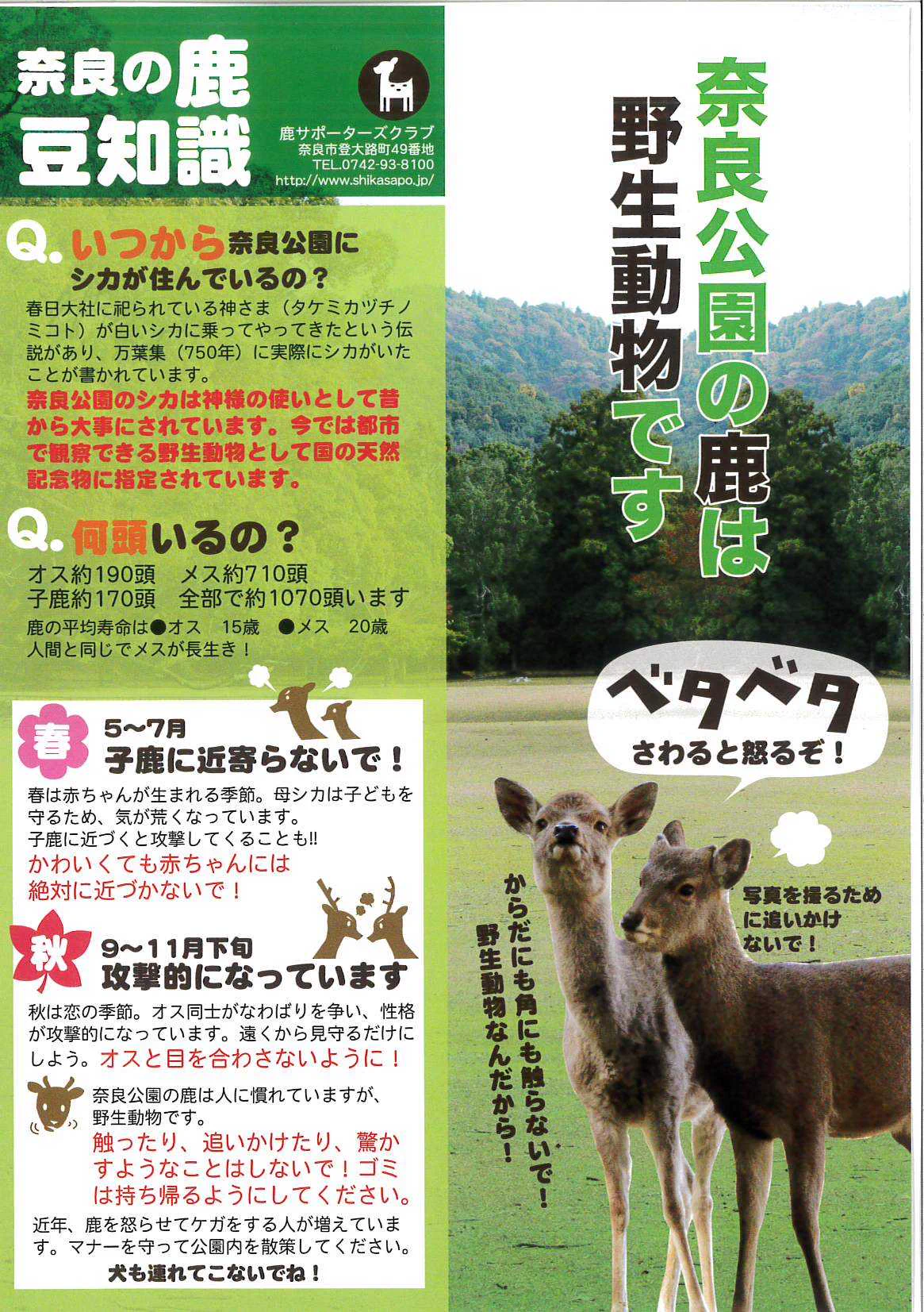 奈良 公園 鹿 触っ て は いけない