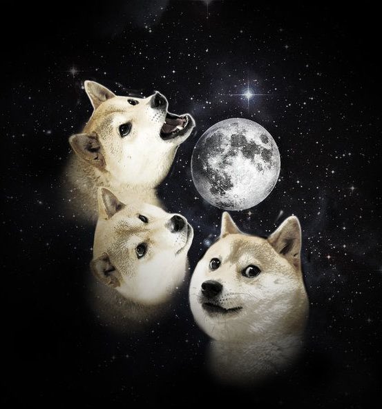 topher2825's tweet photo. MORNING #dogearmy 😎 I know you were waitin for this big spike when @coinbase added #DOGE but it didn’t happen, a lot of the surge came days prior. Listen, stay positive and trust the process! organic growth is just over the horizon!IMO🔥🚀 #Dogecoin #DogecoinRise #PositiveVibes https://t.co/8uomh330ap
