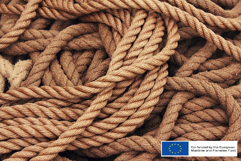 CWestmed's tweet photo. #savethedate! On #June15th 2021 the Networking event of @CWestmed will be held! Stay tuned for more information!

@FondazioneAIMM 
@ENSM 
#imfmm
@EU_MARE https://t.co/Veh0O9Pck7