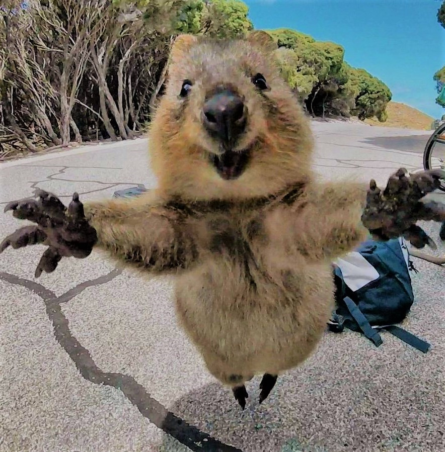 Ovoliko te volim! ❤️🥰❤️