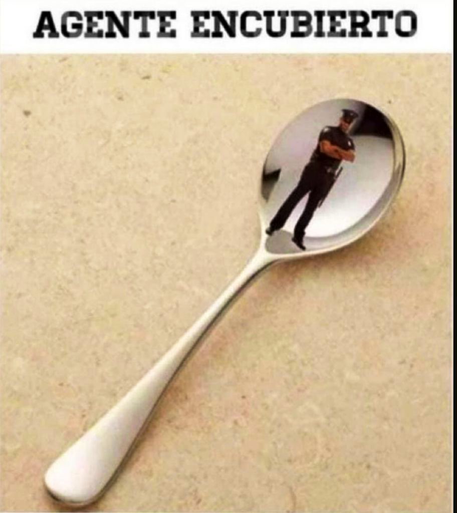 gabytanatologa's tweet photo. Viernes de humor tanatológico y espionaje. 🦋 https://t.co/1p9cNfGDFP