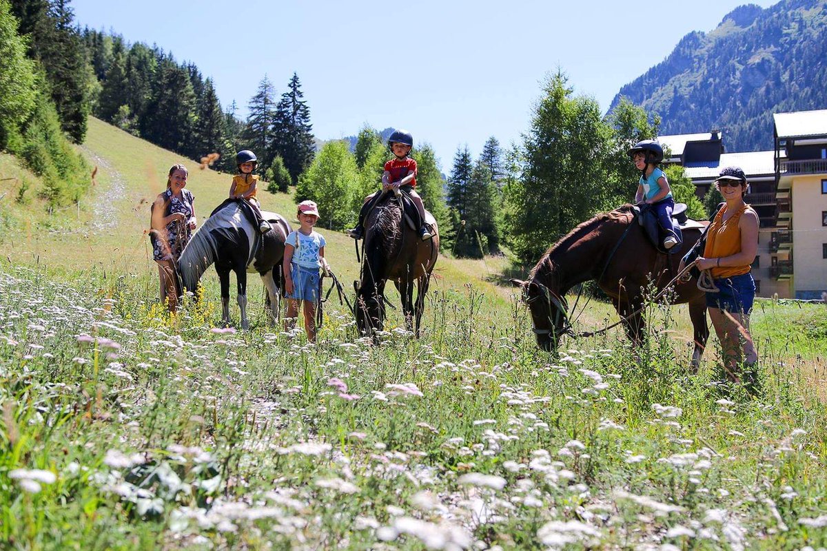 La semaine "À Cheval en Montagne" est de retour cet été du 1er au 6 août 👌🐎⛰️