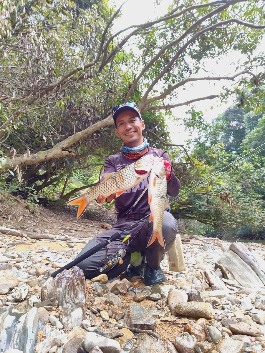 CasterDiary's tweet photo. https://t.co/pVkFoo15V8

Link vlog👆
#Hampala #Sebarau #Fishing #Ultralight #Caster #Casting #Shimano #Twinpower #Ganko #utsKatana #xzoga #Rapala #LureFishing #Ikanz #subscribe #Youtuber #WolfRiver https://t.co/LXiqjErlVM