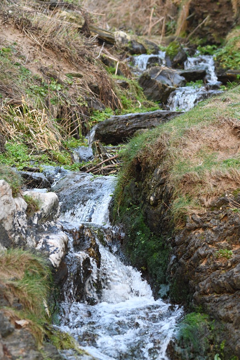 freshairstudios's tweet photo. Not only are we lucky to live and work in #Devon but we also have a couple of enthusiastic photographers to capture its beauty. These #DevonDay images come courtesy of our CEO @PaulCPhilpott and capture more of the diverse nature of the county.
#DevonDay2021 #devonnature https://t.co/k6GrV7Qa2l