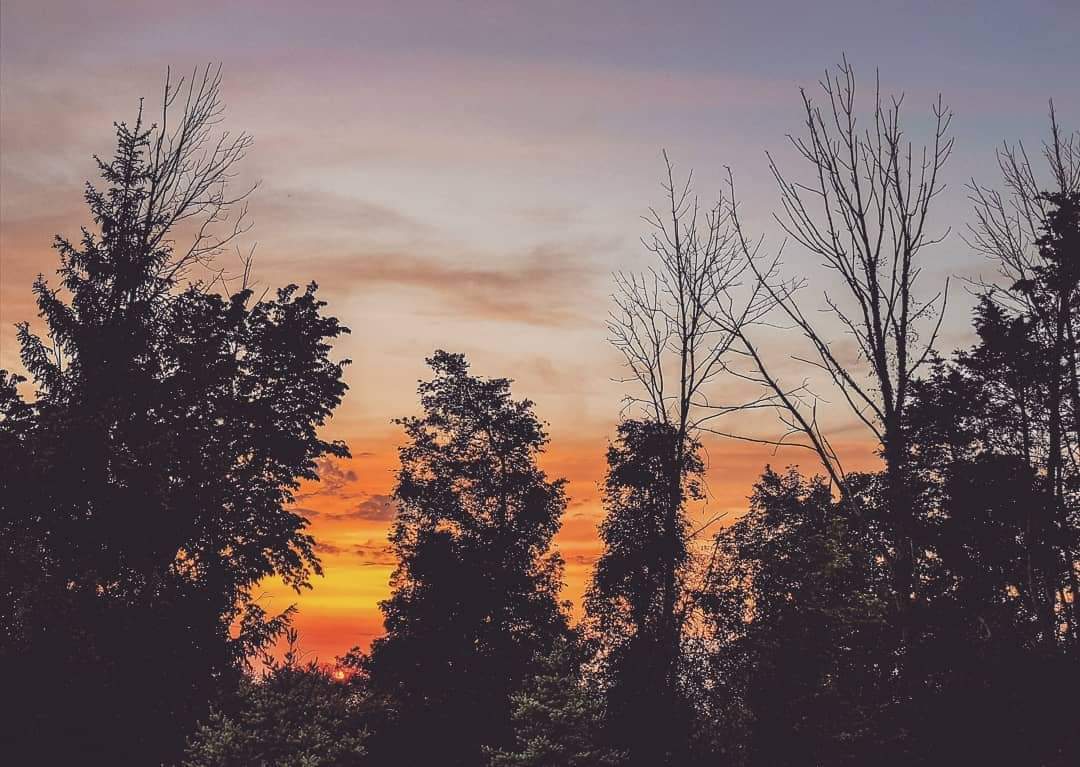 Remember this, had any other condition been better for you than the one in which you are, divine love would have put you there. ❤️

~Charles Haddon Spurgeon~

#nevermissasunset 
#lakehuronsunset