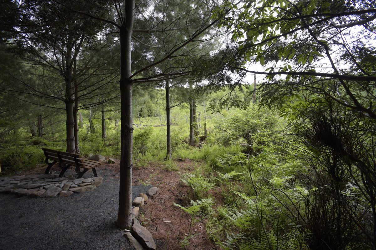 Paul Buckowski tweet media