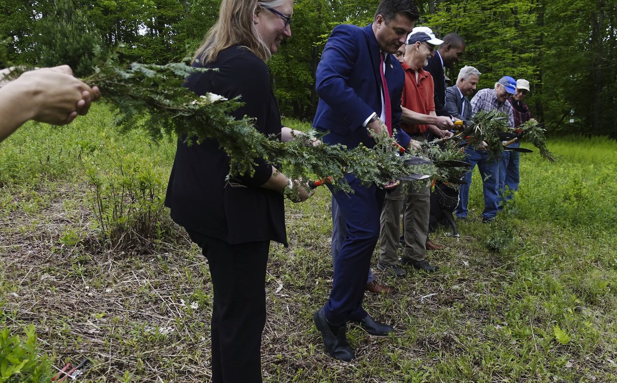 Paul Buckowski tweet media