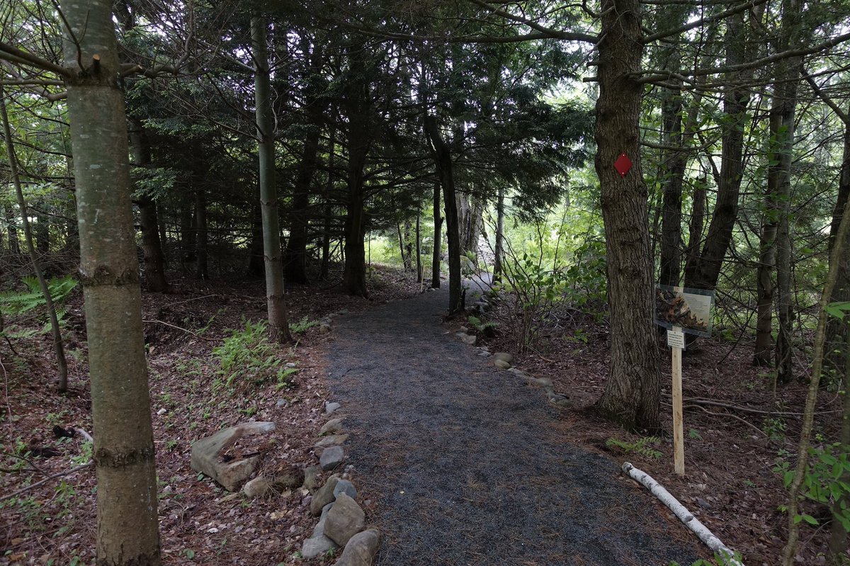 Paul Buckowski tweet media