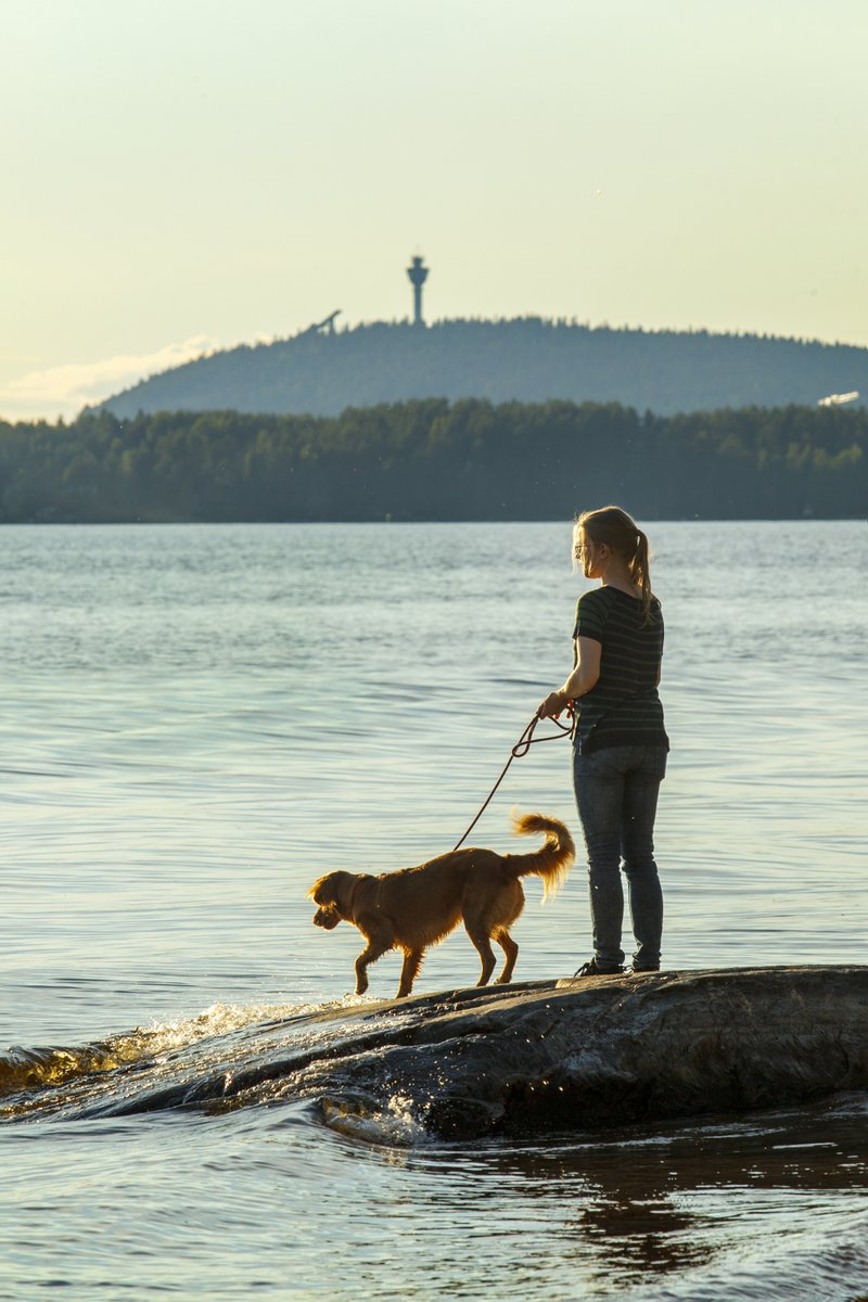Kuopionkaupunki's tweet photo. #Finsote 2020 -tutkimus nostaa esiin #kuopio'laisen aikuisväestön #hyvinvointi'a – valtaosa kuopiolaisista tyytyväisiä asuinalueensa olosuhteisiin, liikaa alkoholia käyttävien osuus huolestuttava. Lue tuoreesta tutkimuksesta & kuopiolaisten hyvinvoinnista: https://t.co/toCiH6juUS https://t.co/R0G7dmRNhz