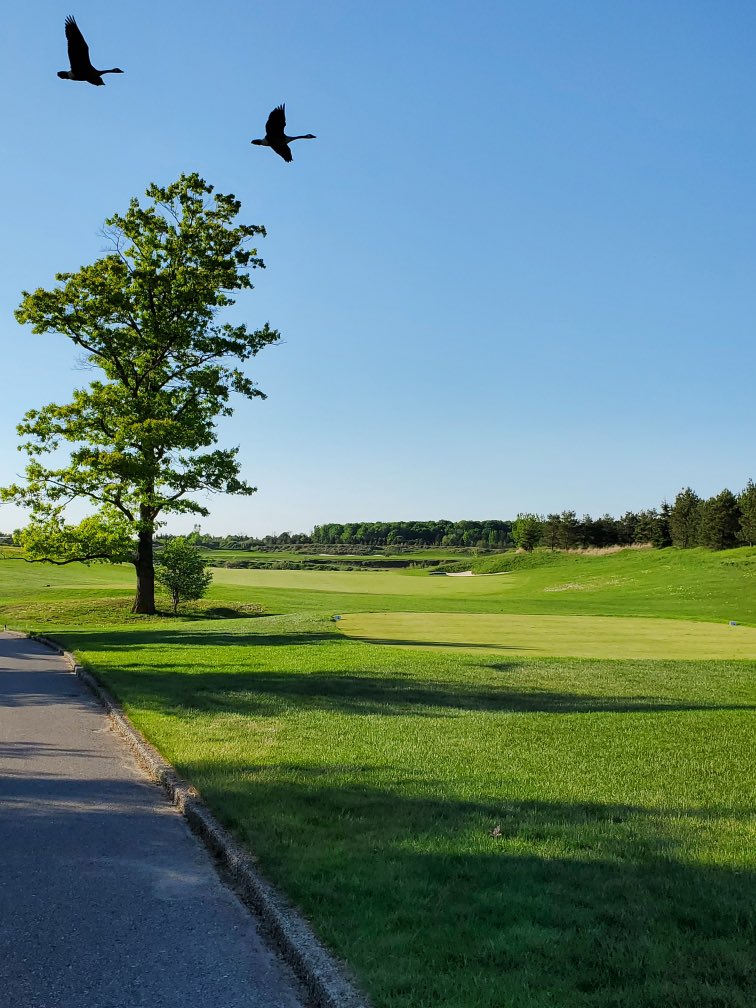 <a href="/Flagstick/">Flagstick.com Golf 🇨🇦⛳️</a> <a href="/WyndanceGC/">Wyndance Golf Club</a> tomorrow 🔥